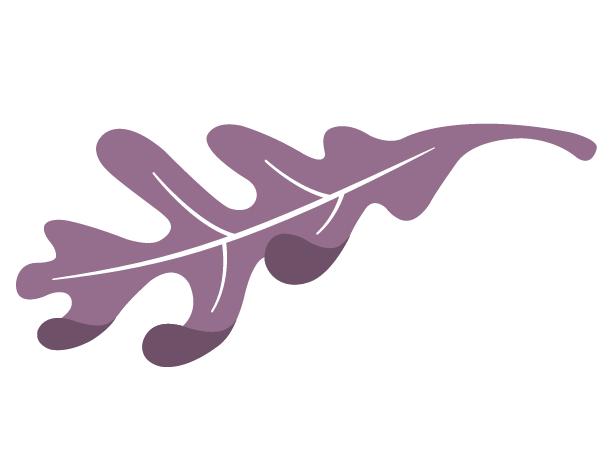 Page icon